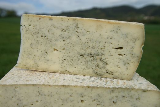 Odoo- Echantillon n° 2 pour trois colonnes