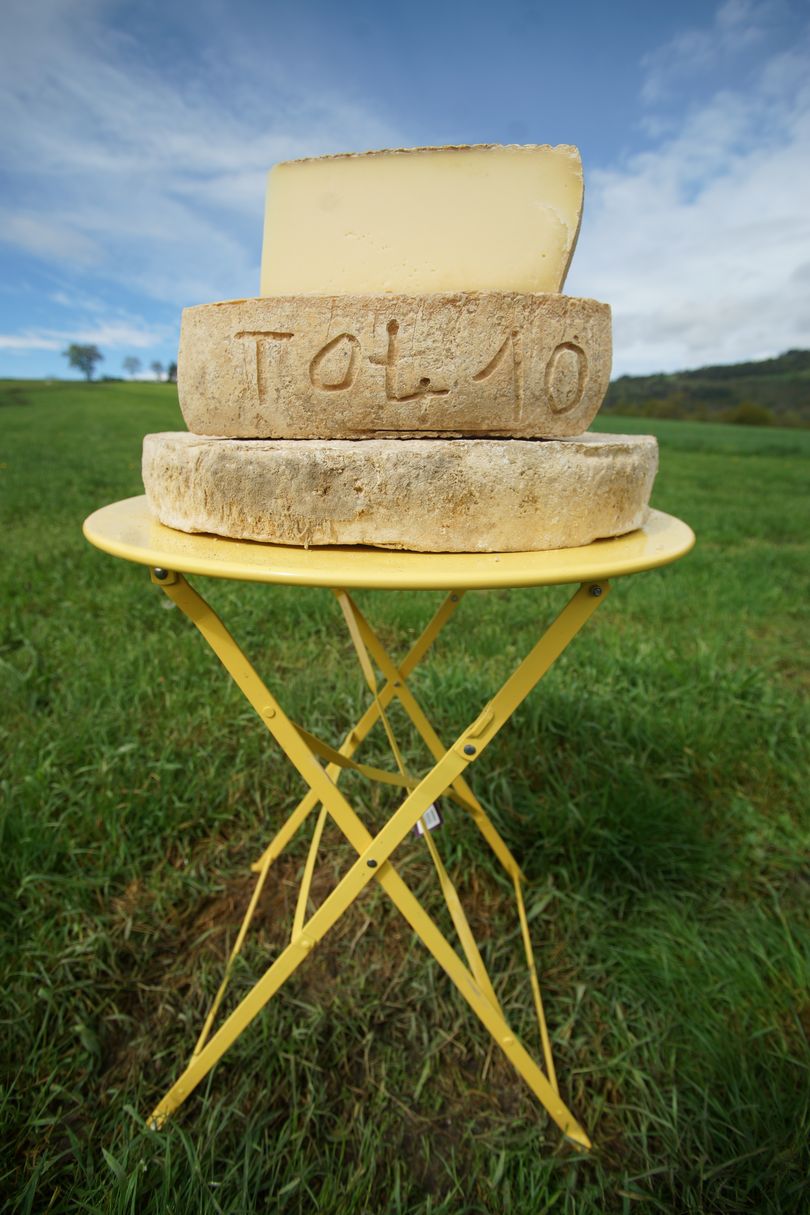 Odoo- Echantillon n° 3 pour trois colonnes